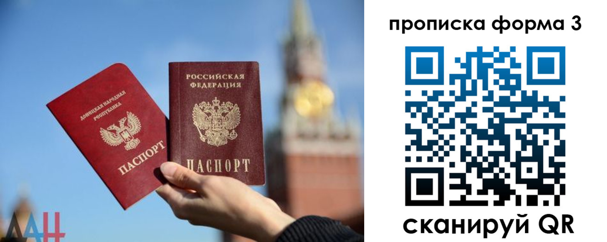 временная регистрация поиск в Коле